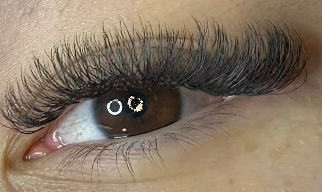 Auréa Studio - 9afa8de0-1e13-4e68-a649-b4859a0d8cc0.jpg